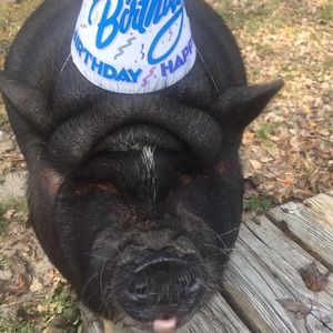 Meet your Posher, Kelly